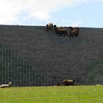 gibbs-farm-lewitt_04.jpg