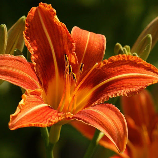 Hd-148779-ascw148779