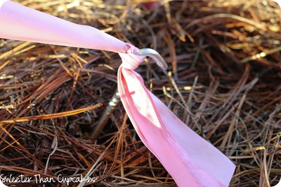 ribbon canopy-7848