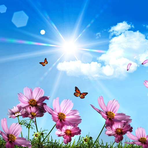 Hd-146115-ascw146115