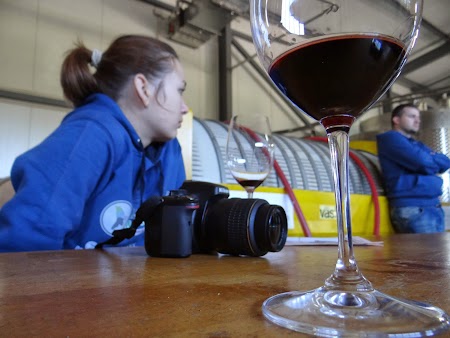 Drumul vinului -Basarabia: Vin rosu de Nisporeni