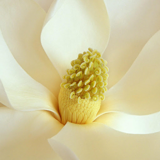 Hd-141095-ascw141095