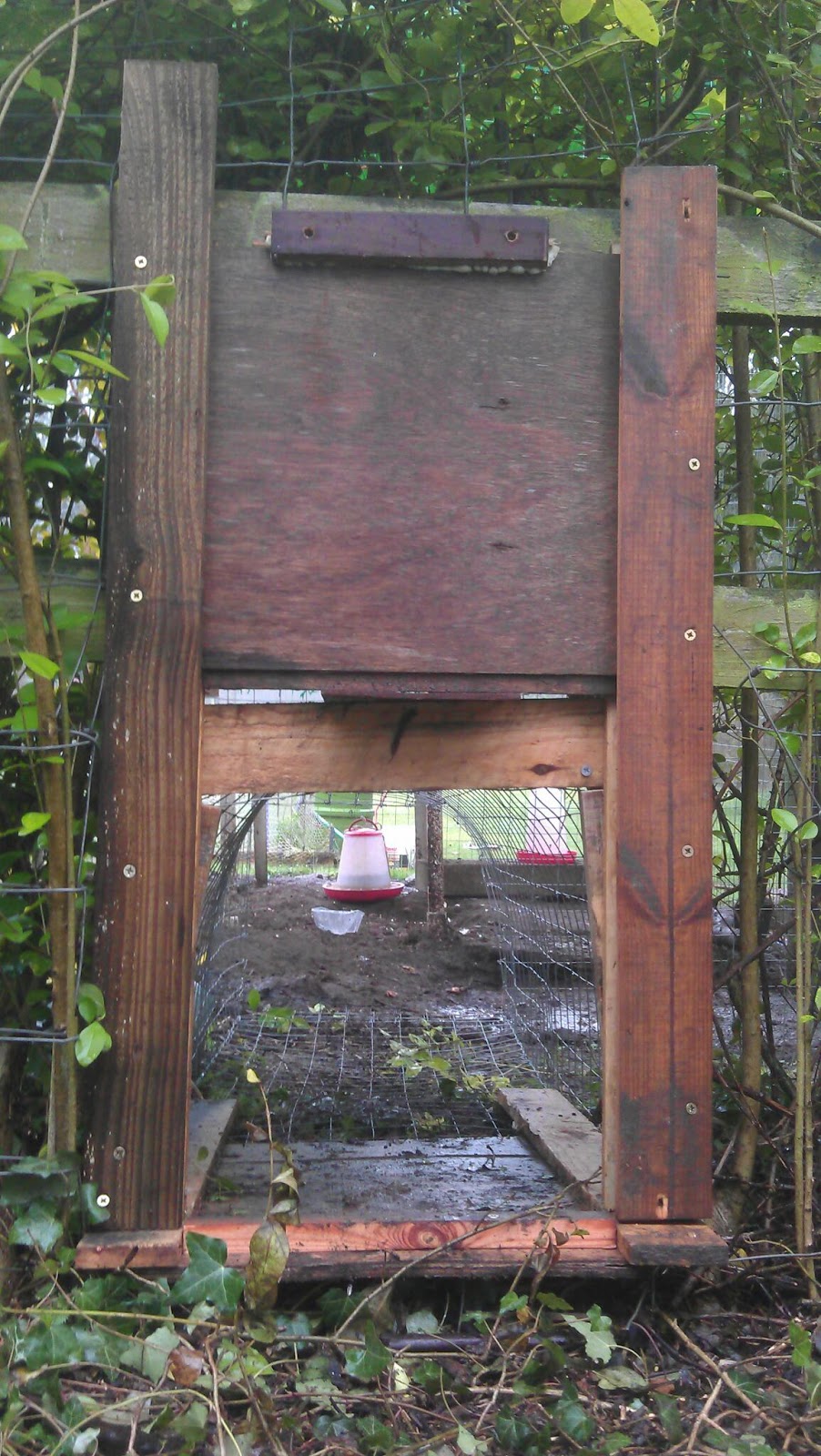 Station Road Chicken run New gate