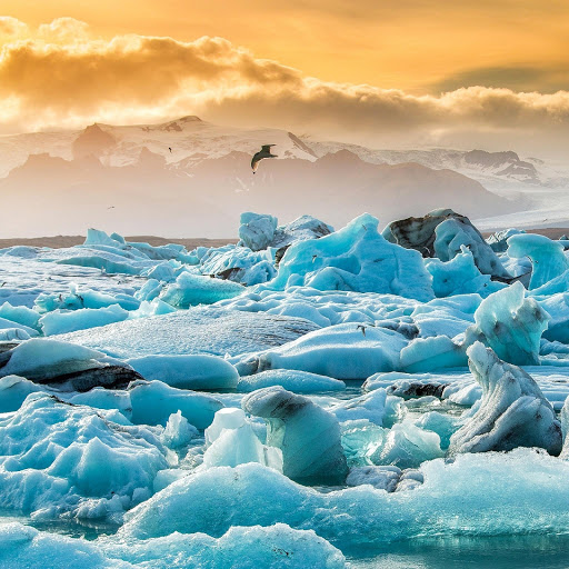 Hd-152004-ascw152004