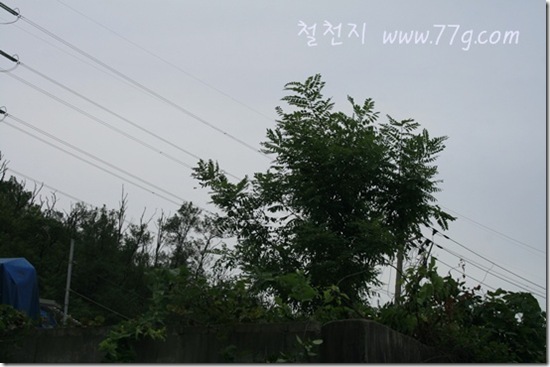 철천지IMG_3754