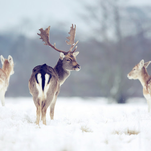 Hd-174905-ascw174905