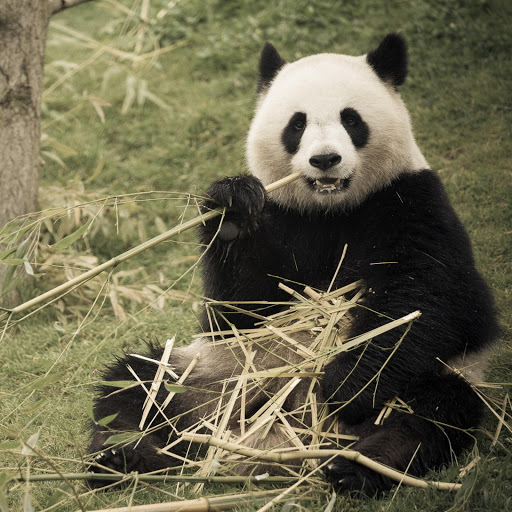 Hd-162372-ascw162372