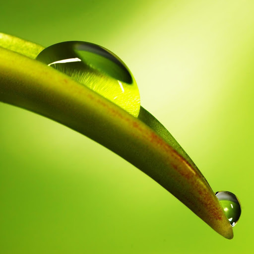 Hd-145433-ascw145433