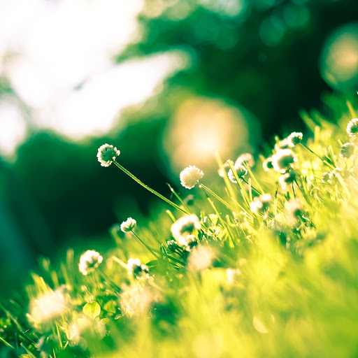 Hd-186230-ascw186230