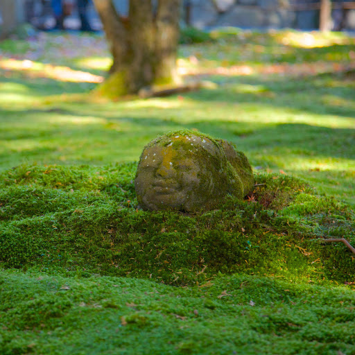 Hd-161311-ascw161311