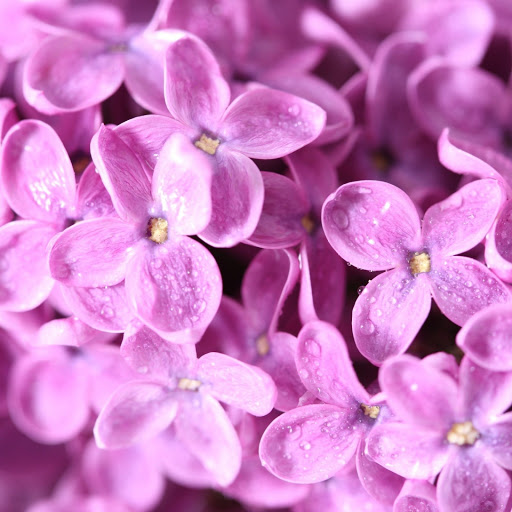 Hd-147271-ascw147271