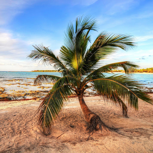 Hd-149083-ascw149083