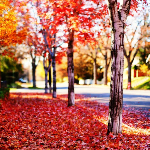 Hd-161763-ascw161763