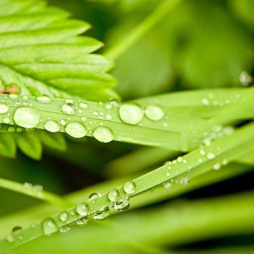 Hd-131718-ascw131718