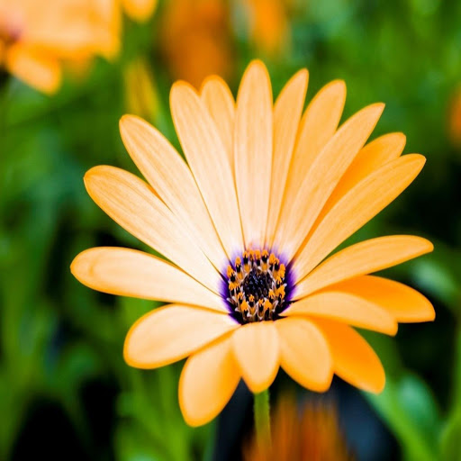 Hd-167840-ascw167840