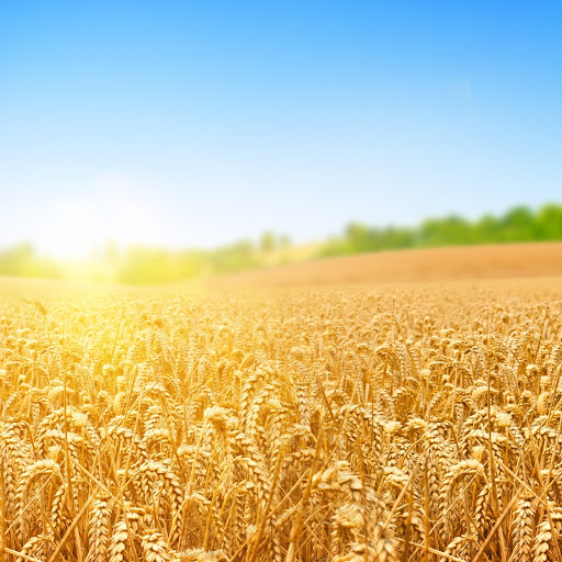 Hd-166963-ascw166963