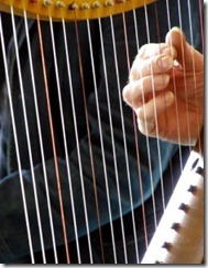 harp_strings