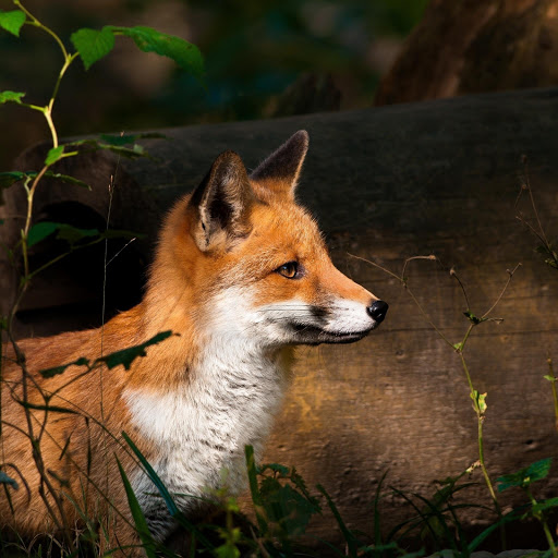 Hd-174469-ascw174469