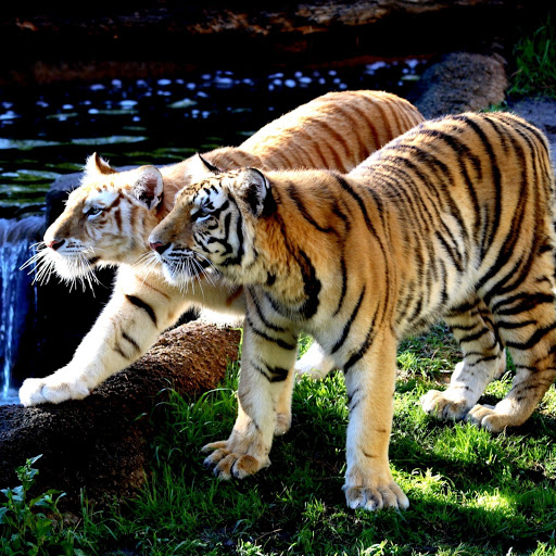 Hd-141890-ascw141890