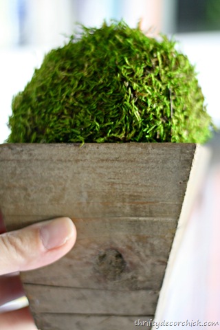 [IMG_3529%255B7%255D.jpg]