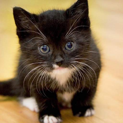 Hd-177629-ascw177629