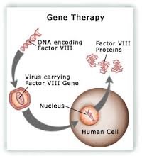 [gene-therapy%255B3%255D.jpg]