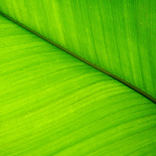 Hd-133270-ascw133270