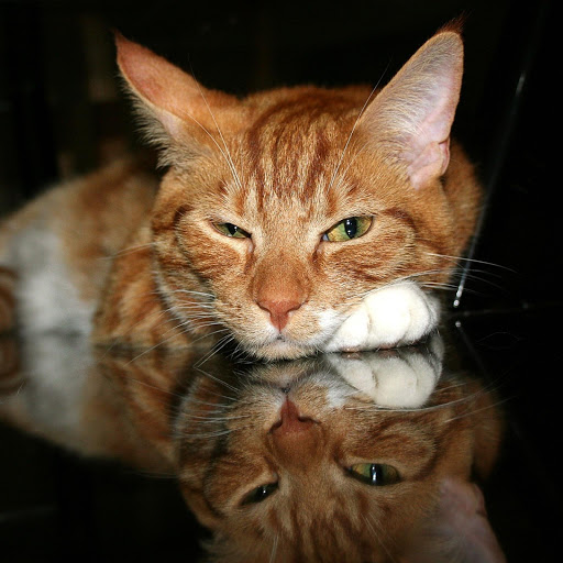 Hd-154253-ascw154253