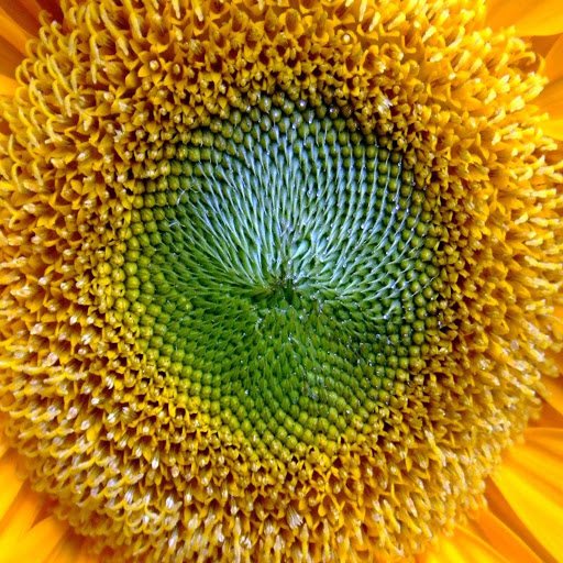 Hd-172055-ascw172055