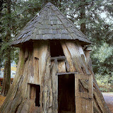 casa-arbol-5.jpg