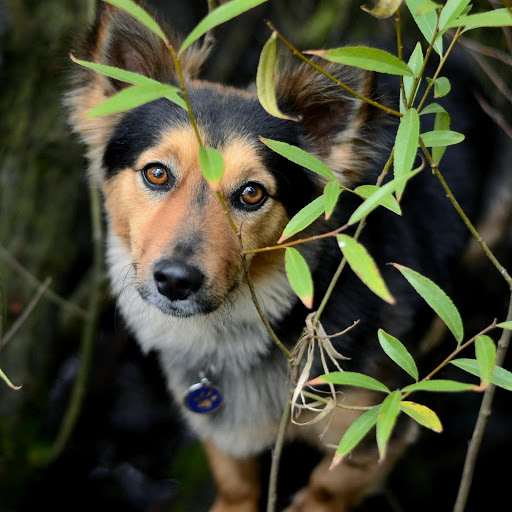 Hd-166184-ascw166184