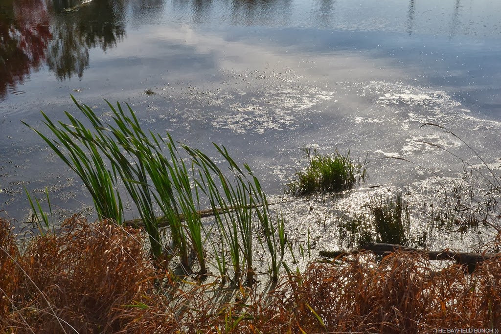 [DSC_0019%255B4%255D.jpg]