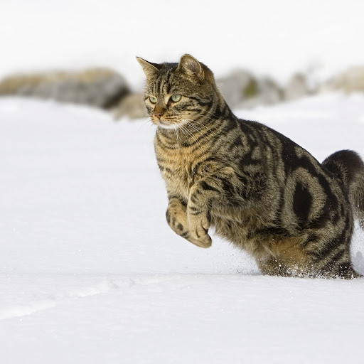 Hd-157948-ascw157948