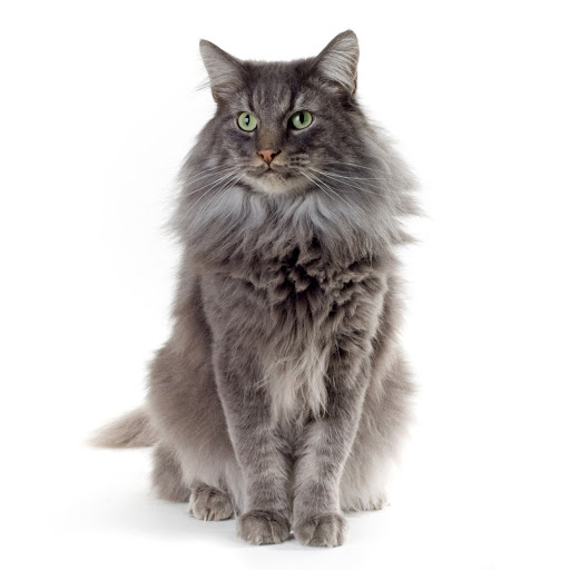 Hd-141934-ascw141934