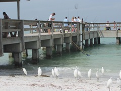 Florida Sanibel pier