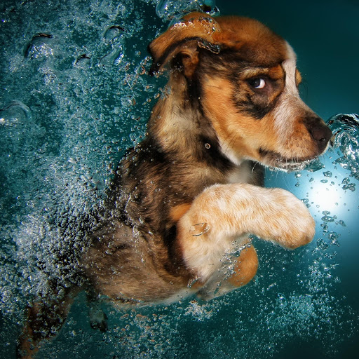 Hd-176743-ascw176743