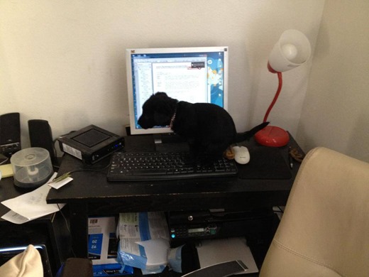 [7fda969f39d05e57982b13aed9bdef48b04319160973803%255B2%255D.jpg]