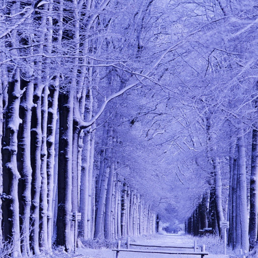 Hd-131235-ascw131235