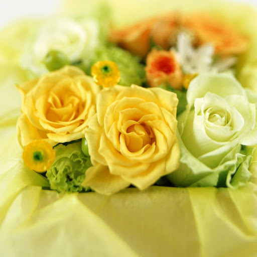 Hd-171068-ascw171068