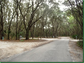 Empty campsites