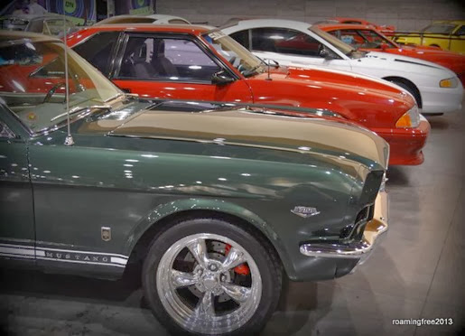 Mustangs for Christmas?