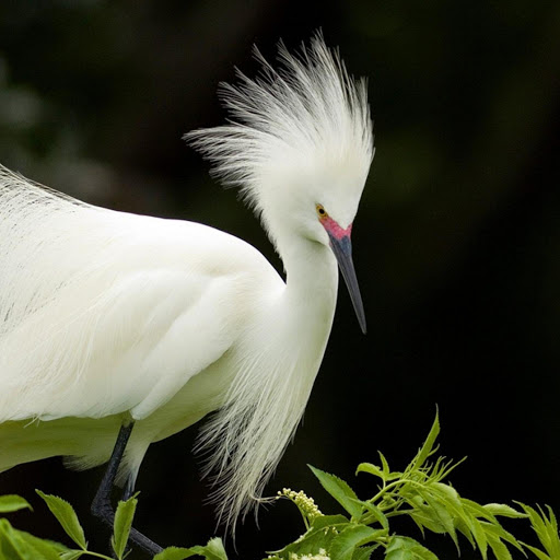 Hd-169473-ascw169473