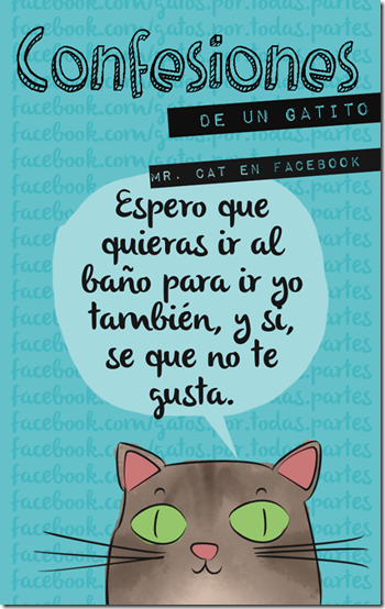 gatos confesiones gatunas cosasdivertidas (11) gatos confesiones gatunas cosasdivertidas (11)