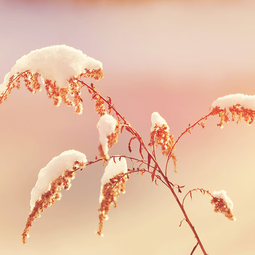 Hd-170648-ascw170648