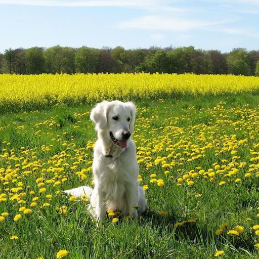 Hd-175918-ascw175918