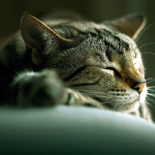 Hd-142459-ascw142459