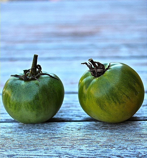 Green tomato still life
