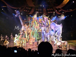 Lion King Disneyland HK 31 Lion King Disneyland HK 31