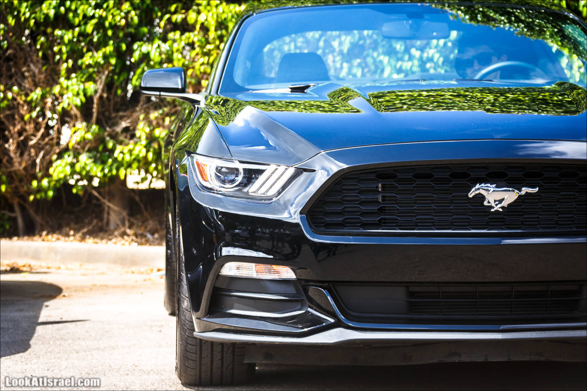 LookAtIsrael.com - Автомобильная выставка Automotor в Тель Авиве | Automotor Expo in Tel Aviv | תערוכת אוטומוטור בתל אביב