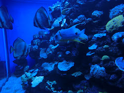 2012-10-20 Mallorca by BREITENGRAD53 - 193